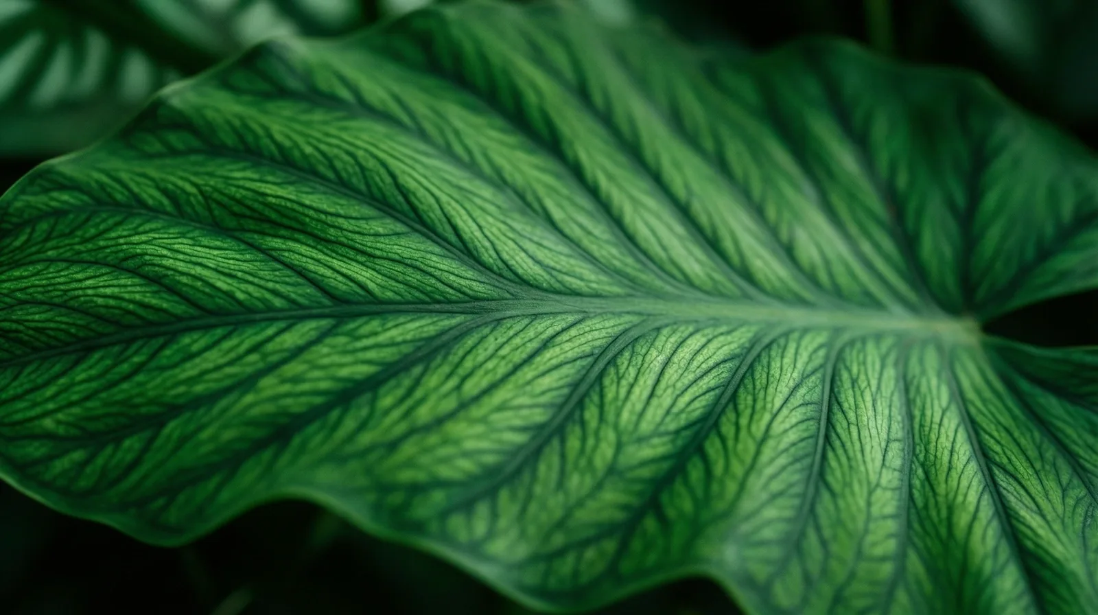 Botaniczny detal